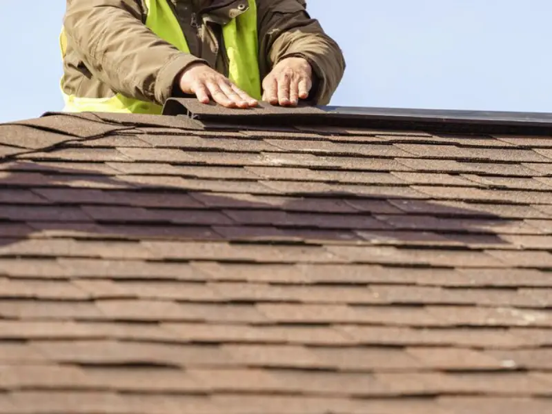Shingle roofing
